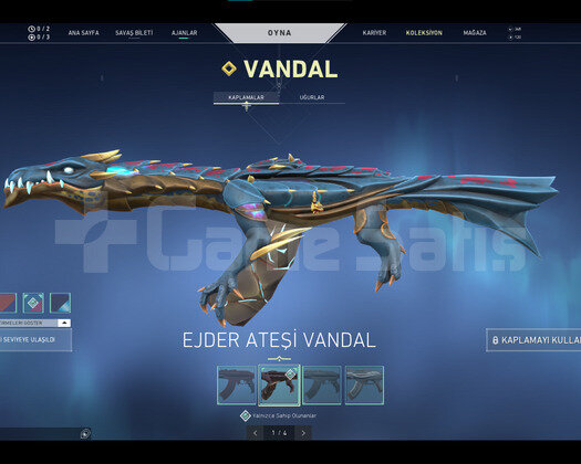 EJDER VANDAL,ASİL SPECTRE,İYON OPERATOR