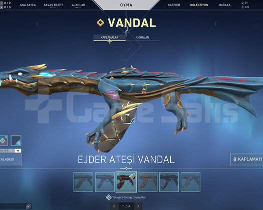 TR BÖLGE/Altın Afet Hançer/Ejder Yağmacı Vandal/