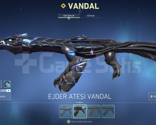 ASİL AFET PHANTOM, EJDER VANDAL DOLU HESAP