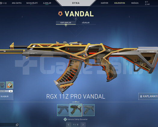 RGX VANDAL VE ASİL PHANTOM TR DEHŞET HESAP