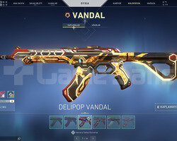 ASİL VANDAL VE İYON OPERATOR TR DEHŞET HESAP