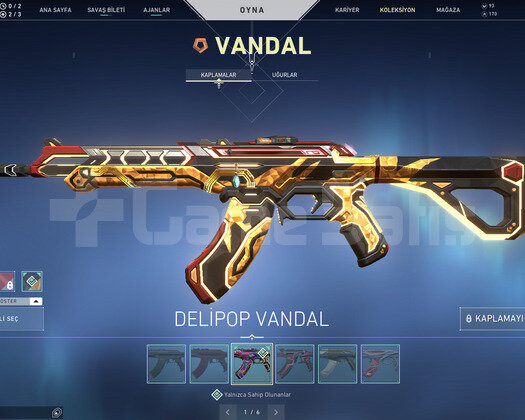 ASİL VANDAL VE İYON OPERATOR TR DEHŞET HESAP