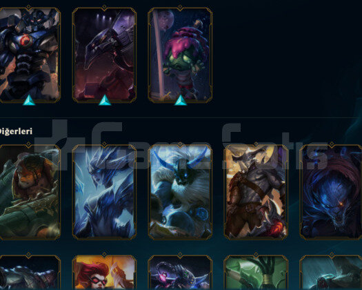 Lol Jungle Main Hesap 25 Kostüm Hesap