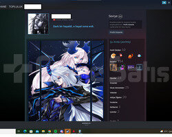 102 Level Steam 1800 Win 10 Madalya Lem