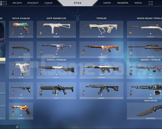 VALORANT PLAT 3 BOL SKİNLİ HESAP TR SERVER