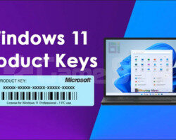 Windows 11 ORJİNAL LİSANS