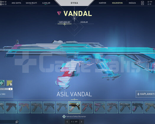 TR Bölge/17 Vandal/11 Phan/16 Bıçak/Dopdolu