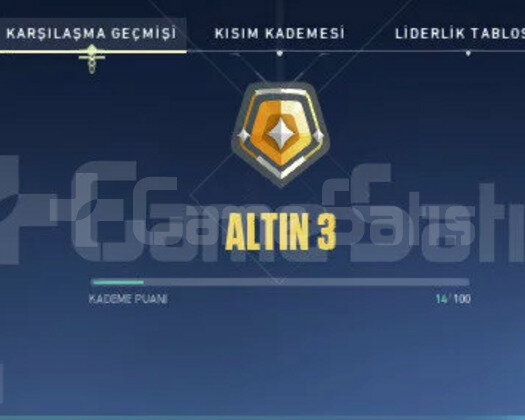 YAĞMACI VANDAL,ASİL PHANTOM,ALTIN 3 YÜKSEK MMR
