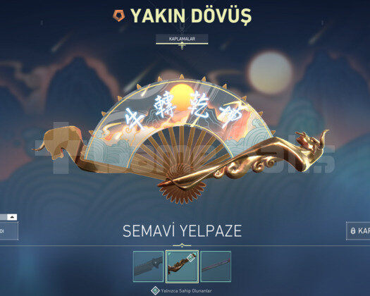 YAĞMACI + IŞIK MUHAFIZI VANDAL + YELPAZE VIP