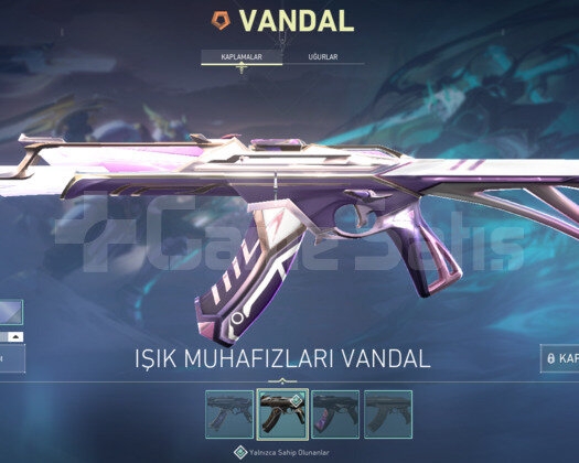 YAĞMACI + IŞIK MUHAFIZI VANDAL + YELPAZE VIP