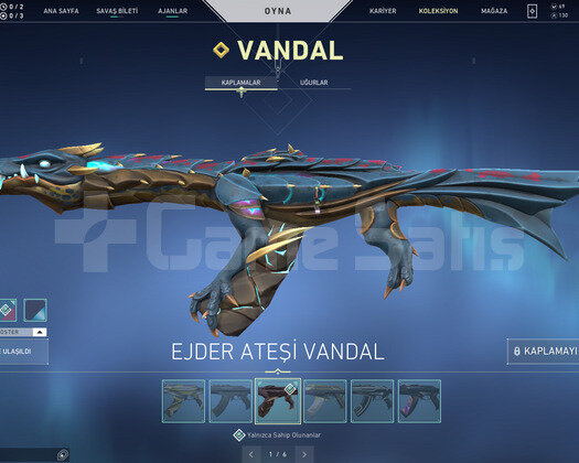 TR EJDER VANDAL VE YAĞMACI OPERATOR HESAP