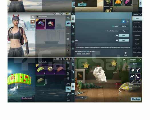 960UC+ROYALE PASS+KUŞ YOLDAŞ+TEK BAĞ+İSİM KARTI