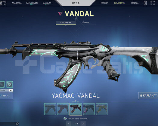 EJDER OPERATOR VE YAĞMACI VANDAL TR HESAP