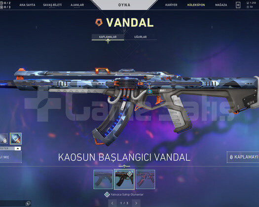 RGX KELEBEK VE DELİPOP OPERATOR TR HESAP