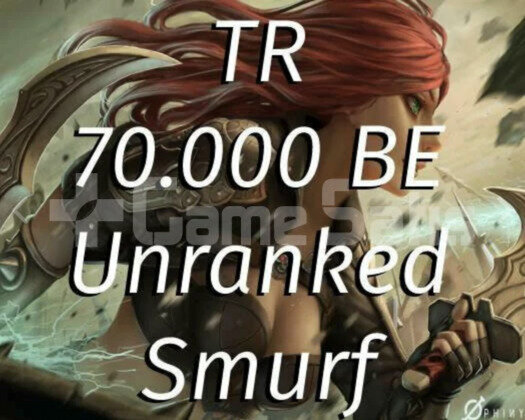 TR 70K Mavi Öz 30 Level Unranked Hesap