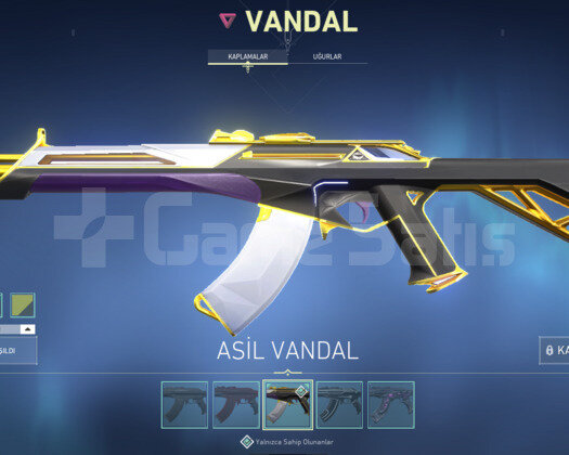 ASİL VANDAL + ONİ PHANTOM + BIÇAKLI MÜK HESAP
