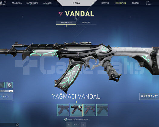 YAĞMACI VANDAL VE İYON PHANTOM TR HESAP