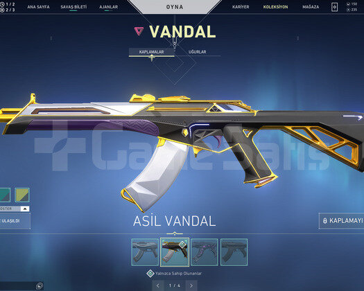 ASİL VANDAL ve ONİ PHANTOM TR DEHŞET HESAP