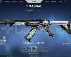 YAĞMACI VANDAL VE KARAMBİTLİ TR HESAP