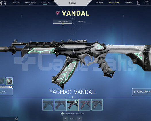 YAĞMACI VANDAL VE KARAMBİTLİ TR HESAP