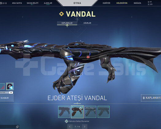 EJDER VANDAL VE DELİPOP PHANTOM TR HESAP