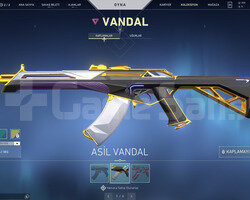 ASİL VANDAL VE FATİH MARSHALL TR HESAP