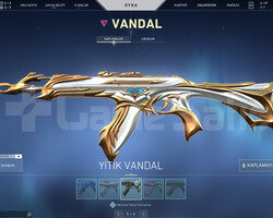 YİTİK VANDAL VE YAĞMACI OPERATOR TR HESAP