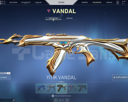 YİTİK VANDAL VE YAĞMACI OPERATOR TR HESAP