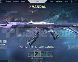 IŞIK MUHAFIZI VANDAL VE İYON PHANTOM TR HESAP
