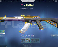 ASİL VANDAL VE SİHİRPUNK OPERATOR TR HESAP