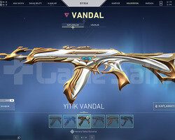 YİTİK-YAĞMACI VANDAL VE AFET PHANTOM TR HESAP