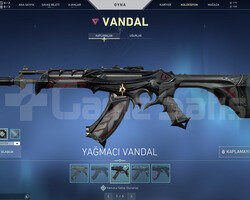 YAĞMACI VANDAL VE ANOMALİ PHANTOM TR HESAP