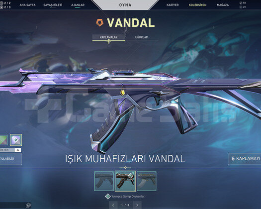 ASİL KARAMBİT VE IŞIK MUHAFIZI VANDAL TR HESAP