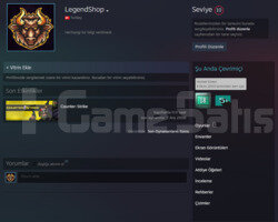 18 YILLIK STEAM 10 LEVEL STEAM 5000+GÜN OFF
