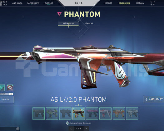 Rgx Katana Ve Phantom/Yağmacı AsilVandal/8 Phantom