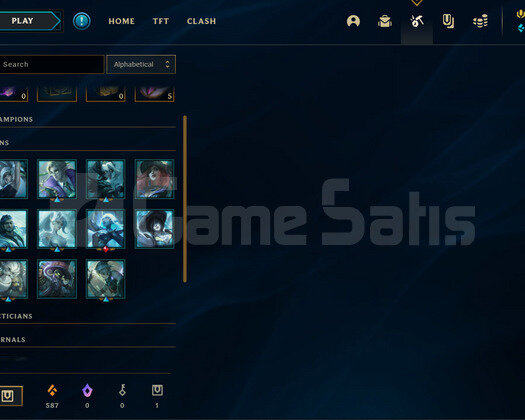 P4 58 WR SMURF JG MAIN ACC