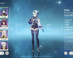 AR 50 Raiden+Eula+Qiqi+Skyward+Bennett