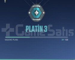 PLAT 3 HESAP