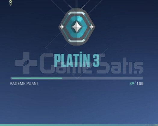 PLAT 3 HESAP