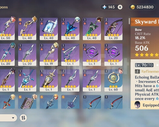 AR 42 Ayato + Yelan + Skyward Harp