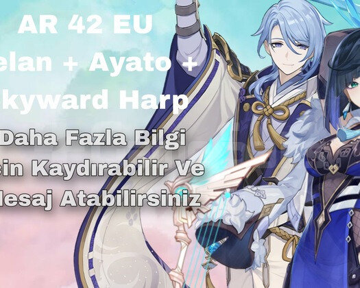 AR 42 Ayato + Yelan + Skyward Harp