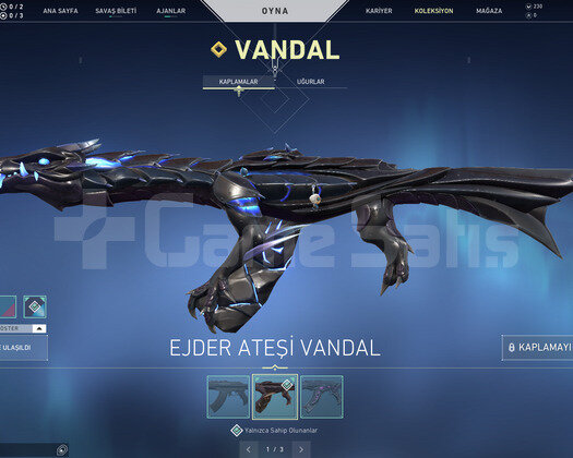 EJDER VANDAL VE SARMAL OPERATOR TR HESAP