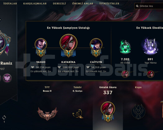 310 LV 143 KOSTÜMLÜ HESAP