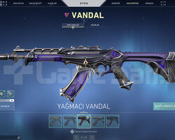 IŞIK MUHAFIZ VANDAL VE ANOMALİ PHANTOM TR HESAP
