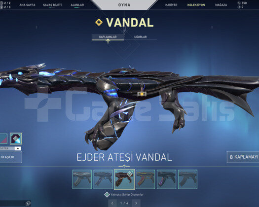 YAĞMACI BIÇAK VE EJDER VANDAL TR HESAP
