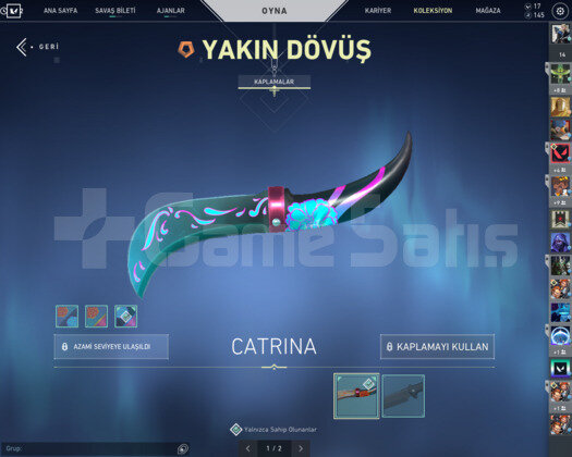DIAMOND RANKLI BOL SKİNLİ MAIN HESABIM