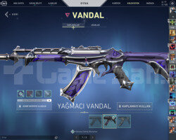 DIAMOND RANKLI BOL SKİNLİ MAIN HESABIM