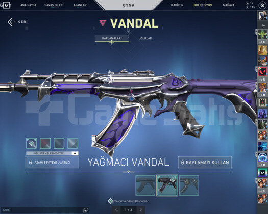 DIAMOND RANKLI BOL SKİNLİ MAIN HESABIM