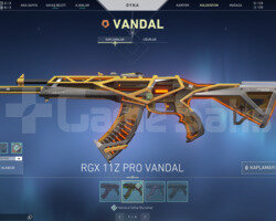 RGX 11Z PRO VANDAL VE KARAMBİT BIÇAK TR HESAP