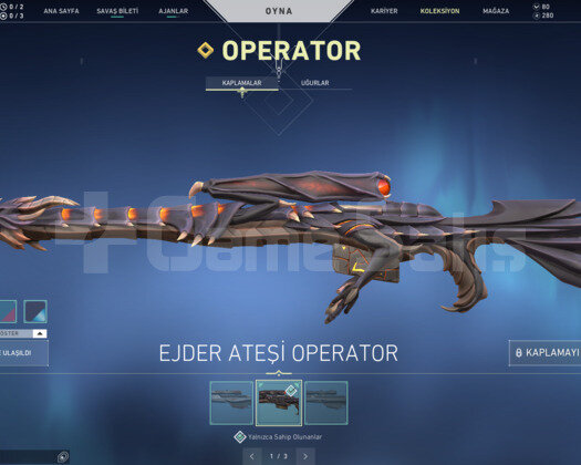 EJDER OPERATOR VE ASİL VANDAL TR HESAP